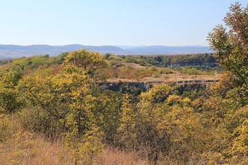 Fototapeta na wymiar Yellow trees in the mountains of Bulgaria in autumn