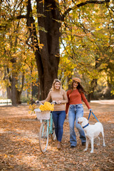 Fototapeta premium Two female friends walking in the yellow autumn park with dog and bicycle