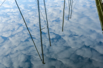 Reflection of yacht masts in the lake water.