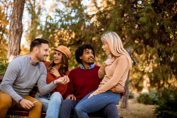 Fototapeta premium Group of young multiethnic friends having fun at park