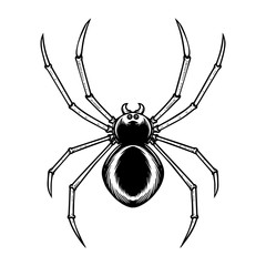 Spider illustration in engraving style. Halloween theme. Design element for poster, card, banner, emblem, sign. Vector illustration