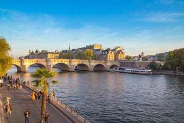 Obraz premium Pont Neuf