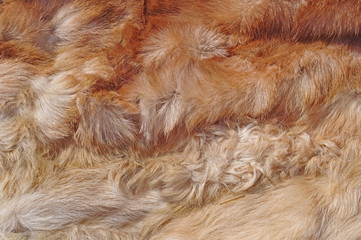 fur, wool as background