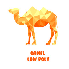 Camel. Polygonal vector illustration isolated on white background. Low poly