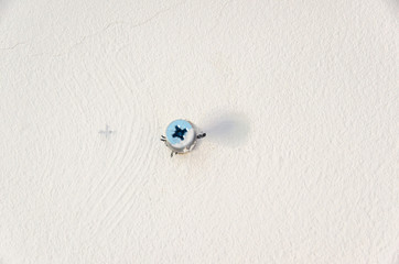 Metal screw in a plastic dowel inserted into a hole in the wall. Ready to hang a picture, lamp or other object on the wall.