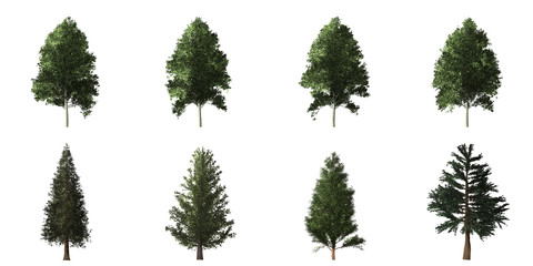 Collection of isolated trees on white background