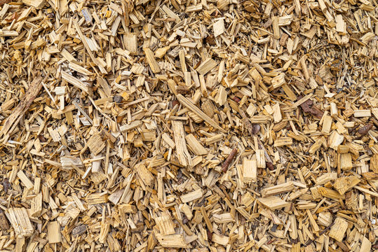 Background made of wood chips, closeup shot, wooden texture.