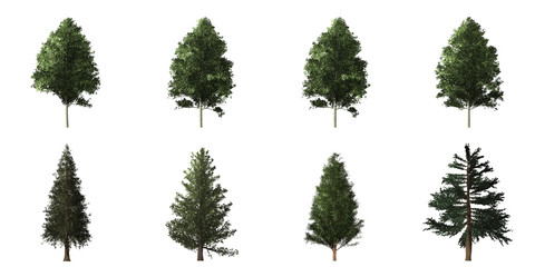 Fototapeta premium Collection of isolated trees on white background