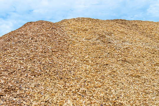 A large pile of wood chips lying on a square, with a blue sky in the background.