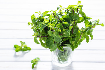 Fresh organic aromatic mint in a glass on white kitchen table. © Iryna