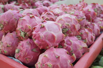 Dragon Fruit Collected and ready for export