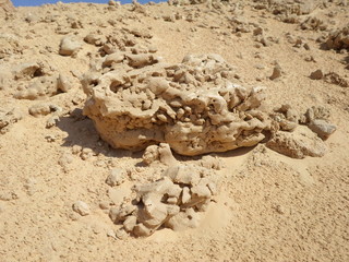 SAHARA DESERT ROCK & ROSES