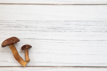 Brązowe grzyby na białym stole