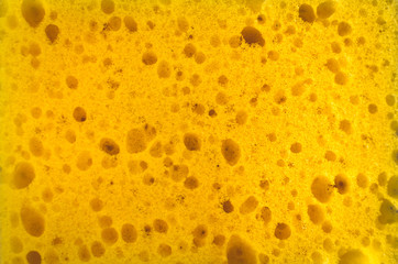 Yellow kitchen sponge texture