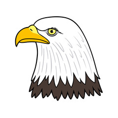 american bald eagle head