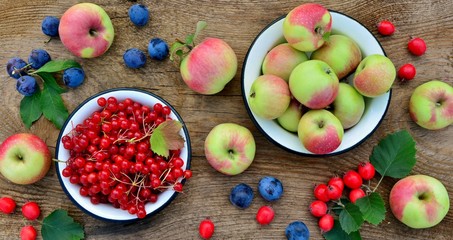 Apples, viburnum, hawthorn, plums in bowls on a wooden table close-up top view 