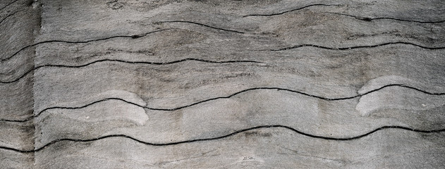 Panoramic pattern of old cracked gray wood