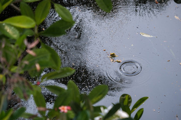 Nature view by the sea Thailand
