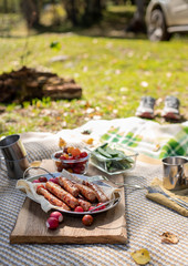 outdoor lunch. Picnic with grilled sausages and fresh vegetables