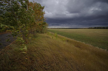 Obraz premium thunderclouds 