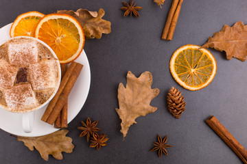 Cup of coffee with marshmallows and cocoa, leaves, dried oranges, cinnamon and star anise, gray stone background. Tasty hot autumn drink. Copy space.