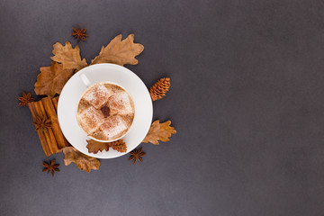Cup of coffee with marshmallows and cocoa, leaves, dried oranges, cinnamon and star anise, gray stone background. Tasty hot autumn drink. Copy space.