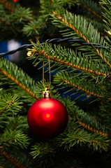 christmas tree background