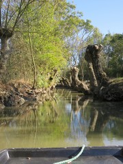 marais poitevin
