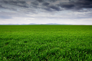 sunset and storm background