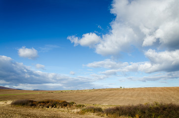 brown field and clouds background
