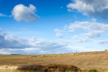 brown field and clouds background