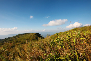 Beautiful landscape valley of mountain and blue sky in winter at Phu Chee Fah hill northern of Thailand