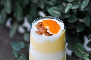 mango smoothie or mango yogurt smoothie with orange topping