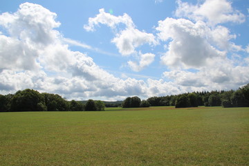 Landschaftsfeld