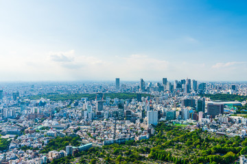 Fototapeta premium Sceneria Tokio Panoramę miasta Tokio, Japonia.