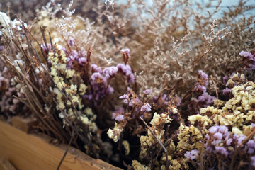 Multi color dried flowers