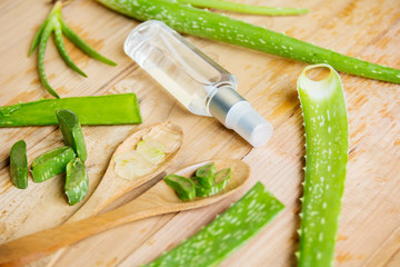 Aloe vera plants with cosmetics spray bottle