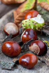 Ripe chestnuts on  wooden background