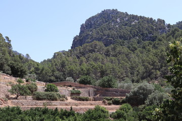 Fototapeta na wymiar Berg Terrassen Mallorca