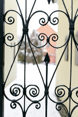 iron black forged gates to the house