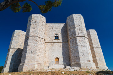 Fototapeta na wymiar Castel del Monte 