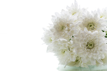 bouquet of white chrysanthemums isolated on a white