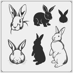 Cute rabbit silhouettes set. Happy Easter card design, print design.