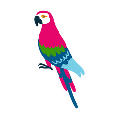 Tropical bird cartoon character design, parrot ara, Cute flat vector illustration decorative macaw isolated on white, South America fauna, Brazilian icon, Wild animal for zoo alphabet, greeting card