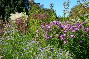 September - Blühen und Verblühen im Herbstgarten - Gartenarbeit