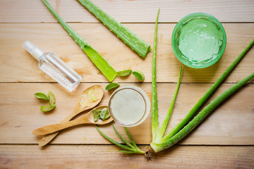 Skincare product composition with aloe vera plants