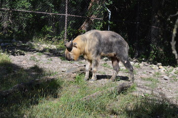 Takin in the outdoors