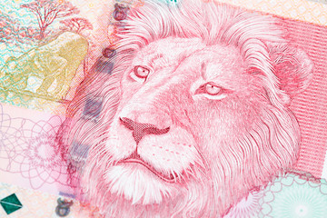 Fifty Rand South African Bank Note