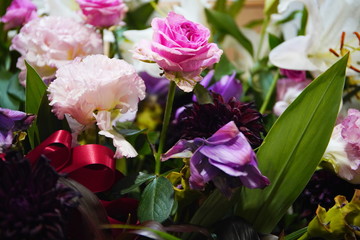 蘭やユリなどの美しい花たち