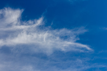 Naklejka na ściany i meble Cirrus clouds on a blue sky on a sunny day.